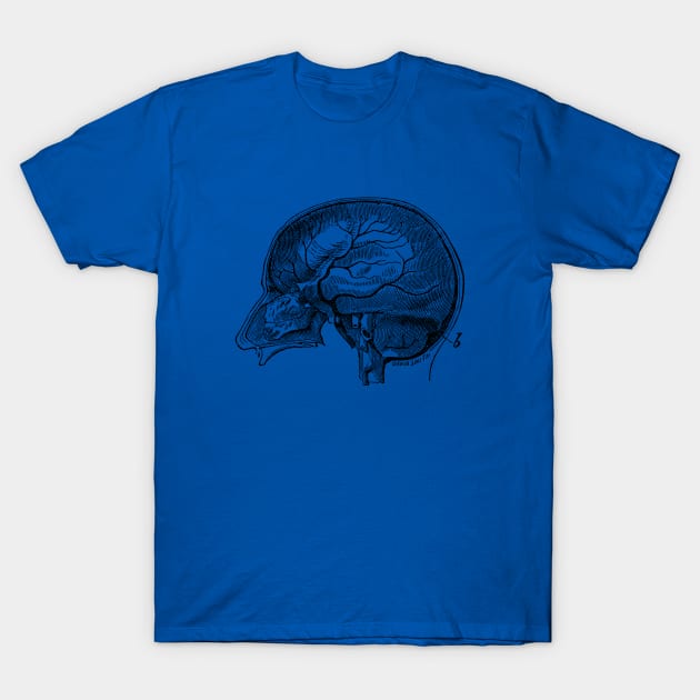 Brain Diagram Two - Anatomy T-Shirt by Vintage Anatomy Prints